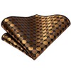 Hi-Tie Men Ties Wedding Formal Tie Sets Handkerchief Cufflinks Silk