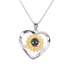 Elegante Collar de Plata S925 con Forma de Corazón de