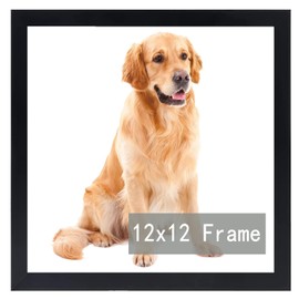 12x12 Frame, Horizontal and Vertical Formats for Wall Hanging, 12 x 12 Square Wall Gallery Poster Photo Frame with Durable Shatter Resistant Plexiglass, 12 x 12 Picture Frame Black
