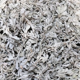 SOUL STICKS California White Sage Organic Loose Clusters Leaves Bulk for Cleansing, Purification, Meditation, Smudging and Negativity Clearing (1 oz)