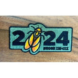2024 Cicada Double Brood Fun Patches/Badges - Girls Scouts GSA, Scouts BSA