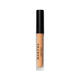 MORPHE Filter Effect Soft Radiance Concealer - Rich 28 (Warm) (0.12 fl oz)