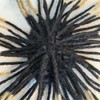 Sistema de trenzas afro de 23 cm con cabello humano,