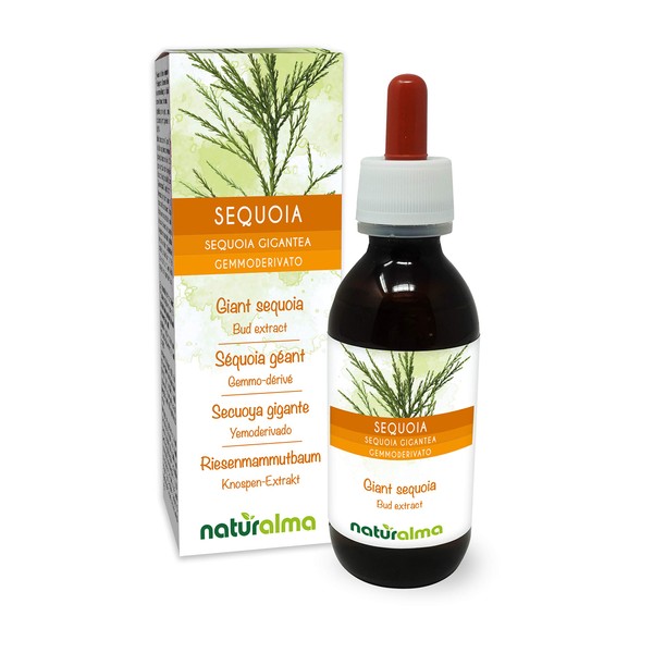Giant Sequoia Gigantea or Sequoiadendron giganteum) Alcohol-free Bud Extract from