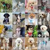 BELLA & PAL Dog Harness and Leash Set, Step-in Puppy