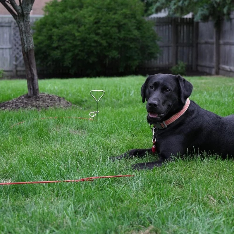 BV 30Ft Heavy Duty Dog Leash Cable For Dogs Up