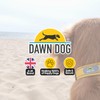 Dawn Dog Collar Small - Reflective, Soft & Padded Breathable