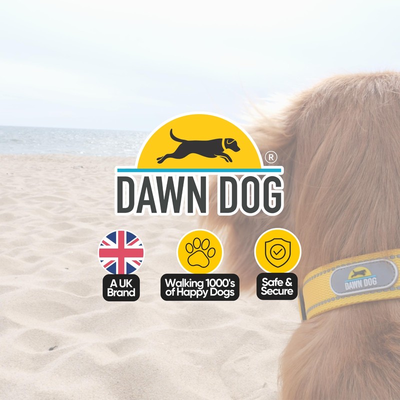 Dawn Dog Collar Small - Reflective, Soft & Padded Breathable