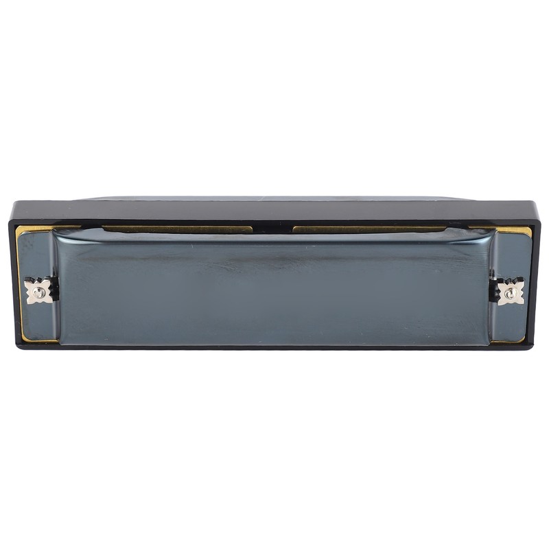 Blues Harmonica C Key 10 Holes Diatonic Mouthorgan Wind Instrument