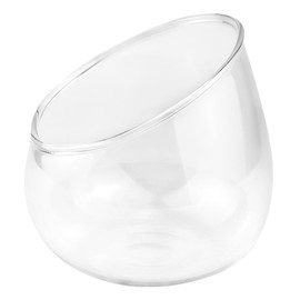 LNQ LUNIQI Glass Slant Cut Bowl Vase Clear Slanted Globe Terrarium Flower Vase Planter Table Centerpiece for Succulents, Cacti, Moss