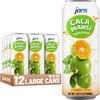 Jans Golden Lime Juice Calamansi Drink (16.9 oz Cans, 12-Pack)