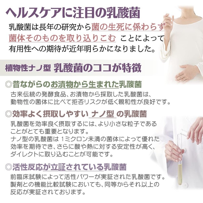 Angelbean 乳酸菌 原末100% 国産 植物性ナノ型 原料 粉末 パウダー 30g