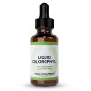 2 Packs Chlorophyll Liquid Drops 4 Month Supply Liquid Chlorophyll