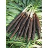 NIKA SEEDS - Vegetable Salsify Black Root - 100 Seeds