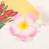 2Pcs 7cm White and Pink Hawaiian Frangipani Plumeria Clips Plumeria