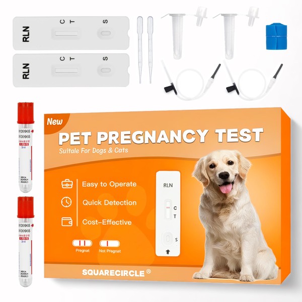 Dog Pregnancy Test Kit at Home - Early Pregnancy Test