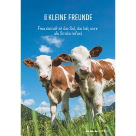 Alpha Edition - Kleine Freunde 2025 Picture Calendar, 23.7 x 34 cm, Wall Calendar with Space for Notes and Many Information, Pictures of Friends, German Calendar and Holiday Dates DE/AT/CH