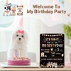 Dog Birthday Chalkboard Boho Themed Dog Birthday Photo Props Rainbow