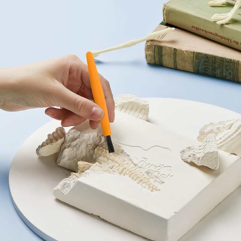 3sets Plastic Dig Tool Set: Archaeological Excavation Tool Kit Dino