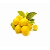 70 Seeds Lemon Trees Dwarf Lemon Bonsai. Perfume Lemon All-in-One