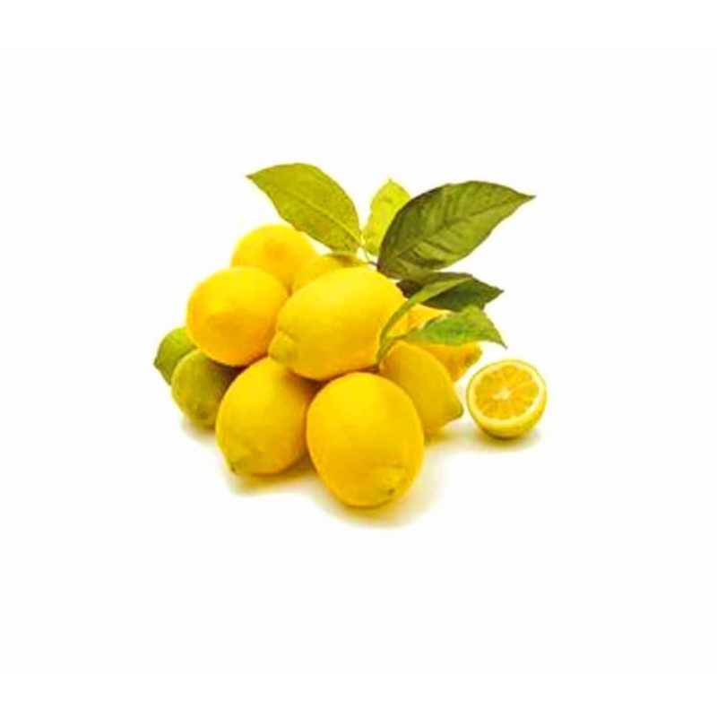70 Seeds Lemon Trees Dwarf Lemon Bonsai. Perfume Lemon All-in-One
