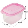 Sanko Plastic Food Storage Containers Every Pack Rectangular Shape with