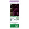 Garnier Nutrisse Colour Sensation Intensive Permanent Hair Colour 4.26 Ultra