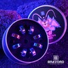 BRAVORD TG11 - Rodamientos de monopatín, rodamientos de alta precisión