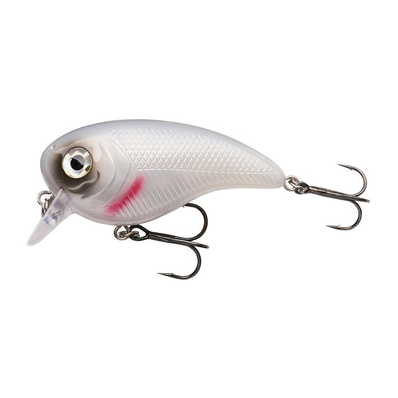Berkley Pulse Biggie Crankbait Lure | Esca galleggiante a immersione