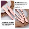 Evanda Rose Gold Dinner Knives Set - 12 Pieces Titanium