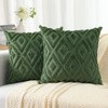 Pallene Spring Soft Faux Fur Throw Pillow Covers 18x18 Set