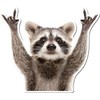 Rocking Raccoon Sticker/Decal