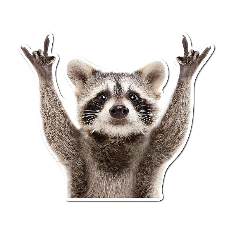 Rocking Raccoon Sticker/Decal