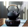 HwaGui Cast Iron Teapot Large Japanese Tetsubin Kettle with Stainless