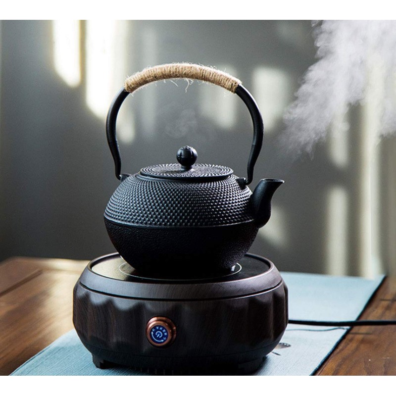 HwaGui Cast Iron Teapot Large Japanese Tetsubin Kettle with Stainless
