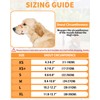 Dog Muzzle Soft Nylon Muzzle - Adjustable Breathable Mesh Muzzle,