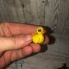 Micro Minis decor - Colour: Micro duck