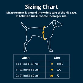 Ruffwear, Hitch Hiker Dog Backpack Carrier, Hands-Free Dog Carrier Backpack with Breathable Mesh, EVA Foam Padding, Durable Polyester, Lightweight Design for Small Dogs, Basalt Gray, X-Small