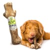 Woodbone Knots Coffee Wood Dog Chew Toy for Medium Dogs