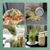 4 Pack Sprouting Lids for Mason Jars, 304 Stainless Steel