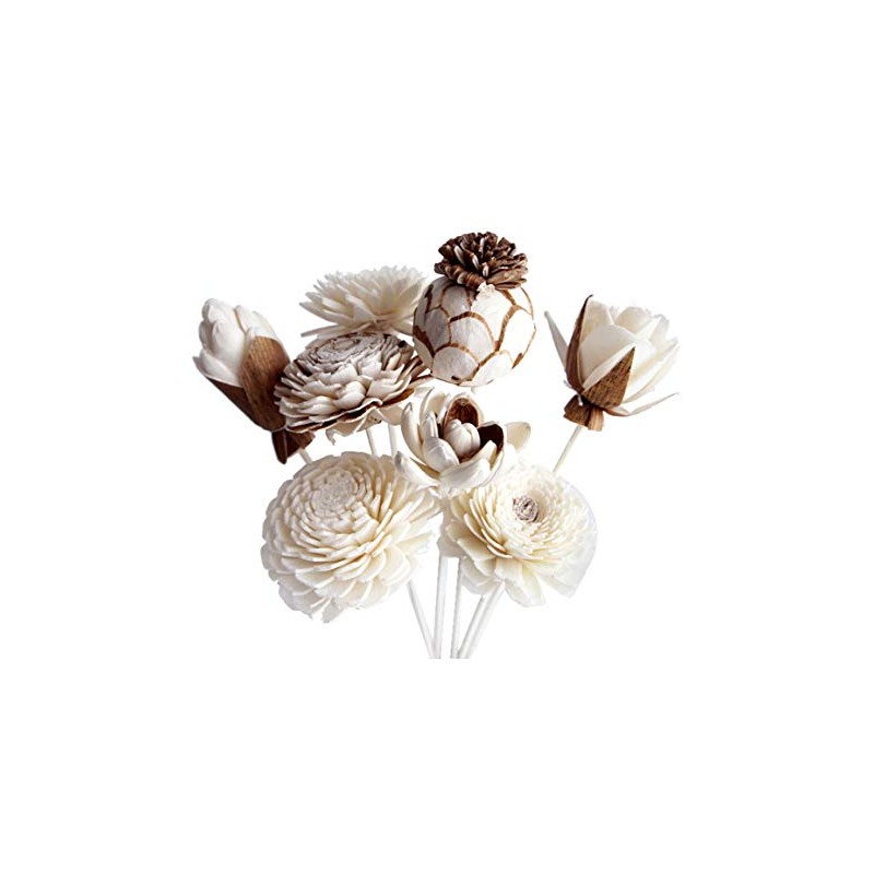 8 Mixed Sola Flower Reed Diffuser by Plawanature.