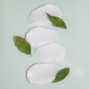 Bonajour Green Tea PDRN Capsule Barrier Cream 50ml / 그린티