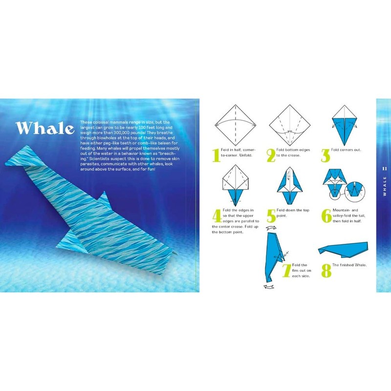 Books Origami Aquarium Kit