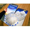One Blank Game Board (1 Game Board 20" x 20")