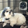 Treva 5-inch Pet Crate Fan for Cooling Dogs and Other