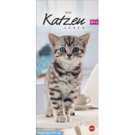 Whiskas Katzenleben Kalender 2026: Süße Kätzchen in allen Lebenslagen in einem Wandkalender zum Eintragen. Immer den Überblick über alle Termine mit dem praktischen Streifenkalender.