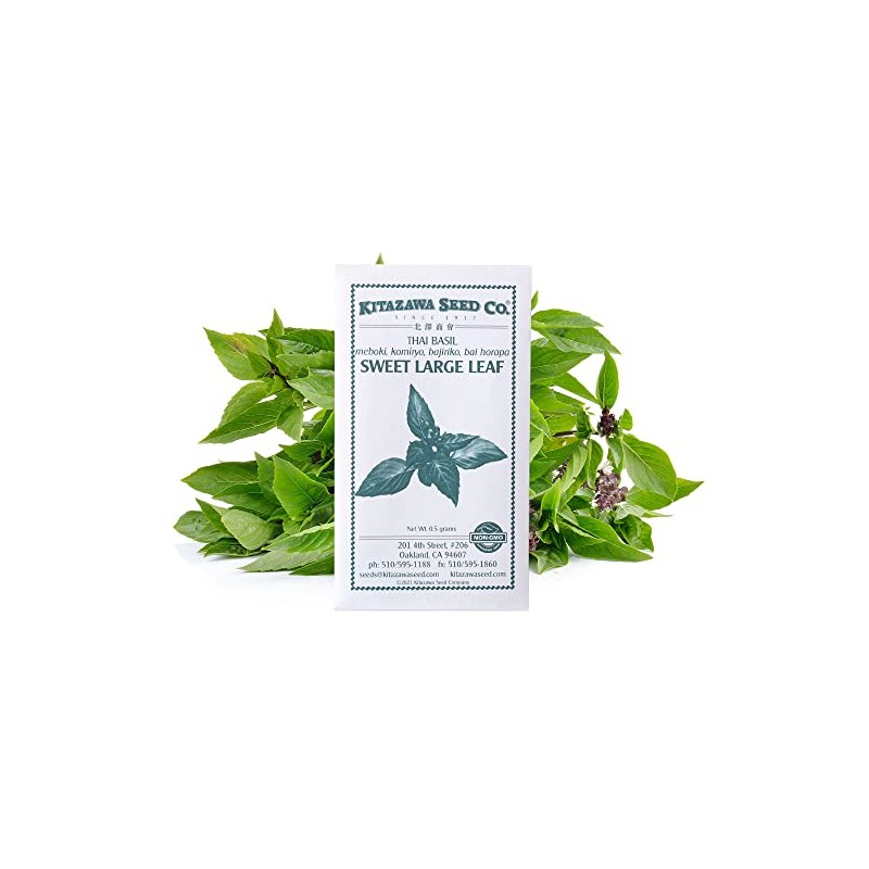Basil Seeds - Thai Sweet Large Leaf -1 g Packet