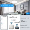 LED Ceiling Light Alexa Compatible 32 cm Smart Ceiling Light