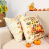 Patioland Set of 4 Pumpkin Throw Pillow Covers 16 x