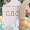 Some Bunny is one Decal - Easter Rabbit Theme First